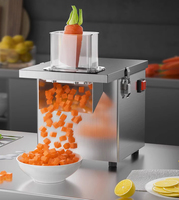 110V 220V Grote Multifunctionele In Blokjes Gesneden Versnippering Roestvrijstalen Fruitgroenteverwerking Snijmachine