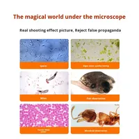 Microscope numérique professionnel haute puissance pour analyseur de sperme animal nouvelle visualisation chauffage à température constante 1 an de garantie