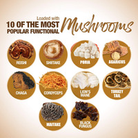 Mélange de 6 champignons biologiques en poudre : Crinière de lion, Cordyceps, Reishi, Chaga, Queue de dinde, Maitake