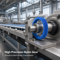 Ingranaggi in Nylon PA6 PA66 MC Personalizzati per Macchine Industriali, Parti di Taglio in Plastica Stampate a Iniezione ad Alta Precisione, Resistenti all'Usura