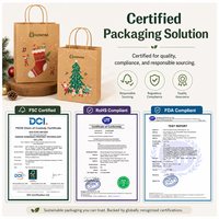 Sac cadeau en papier kraft personnalisé pour Noël, imprimé en couleur, avec poignée torsadée, emballage de vente au détail pour les fêtes, HONPAK