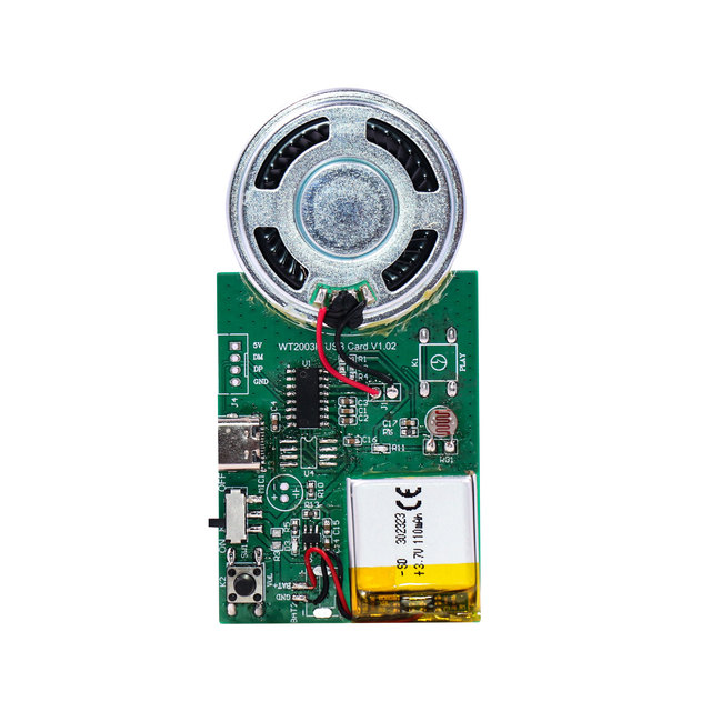 Customized USB Programmable Record Voice Music Sound Module Built-in Flash Chip for Greeting Card and Gift