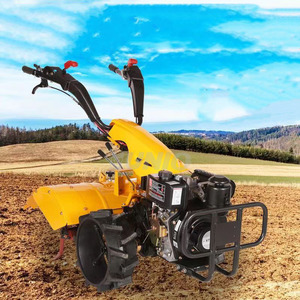 Buen precio a la venta 4wd Diesel Mini Marm Cultivator Walking Tractor Autopropulsado Back-Spin Micro Tiller para áreas montañosas - Product Image 6