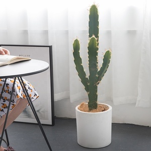 Piante Artificiali di <span class=keywords><strong>Cactus</strong></span> e Bonsai in Plastica - Decorazione Realistica Alta per Ufficio Resistente all'Acqua ed Ecologica - Product Image 3