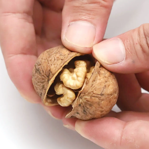 Commercio all'ingrosso sano delizioso 100% biologico migliore qualità esportazione <span class=keywords><strong>noce</strong></span> miglior prezzo frutta secca cruda noci lavate - Product Image 2