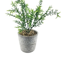 Pot de fleurs en ciment pour plantes succulentes, à prix d'usine, pour jardin, sol ou bureau, et jardinière en pierre pour plantes