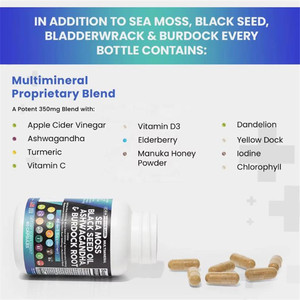 Cápsulas de Musgo Marino con Vitaminas, Aceite de Semillas Negras, Ashwagandha y Raíz de <span class=keywords><strong>Bardana</strong></span> - Mejora la Inmunidad, 60 Cápsulas para Adultos - Product Image 5