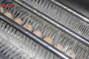 ZENYER 핫 세일 201A 소규모 5000 용량 계란 세탁기 기계 살균기 청소 신기술 농장 계란 가공 - Product Image 3