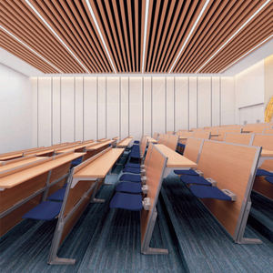 Offre Spéciale : Mobilier Modulaire Durable et Écologique pour Salles de Cours – Sièges en Rangée avec Plateau de Table MFC Intégré et Ergonomique pour Écoles - Product Image 1