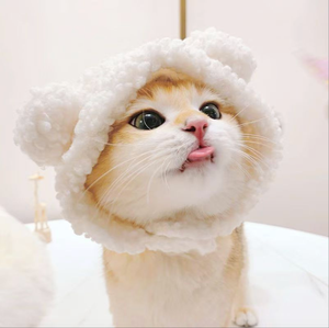 Cappelli per Animali Domestici in Peluche, Divertenti Copricapo per Gatti, Accessori per Cani, Abbigliamento all'Ingrosso - Product Image 4