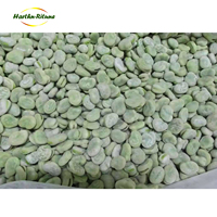 Haricots verts pelés surgelés IQF de qualité supérieure, certifiés HACCP, 10 kg/carton, légumes surgelés naturels de haute qualité pour la transformation alimentaire