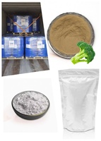 Poudre de Myrtille Biologique de Qualité Supérieure 10:1, Extrait de Myrtille Riche en Anthocyanes pour Jus de Fruits