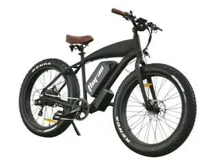 欧洲电动自行车廉价电动自行车28公里/小时电动自行车36v250w电动越野自行车
