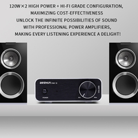 Amplificateur numérique domestique haute puissance Brzhifi PAD-10, qualité Hi-Fi, compact, de bureau, amplificateur de puissance professionnel de niveau Hi-Fi pur