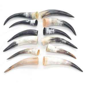 Cuerno de búfalo y Punta de cuerno de búfalo personalizados de buena calidad a la venta a granel/Punta de cuerno de búfalo y buey de calidad natural a la venta a precio - Product Image 1
