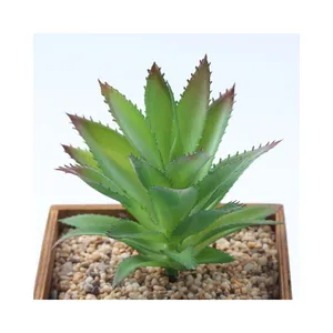 Various Succulent Plants Artificial Landscape Decoration Flower Arrangement Mini Faux Green Plant Garden