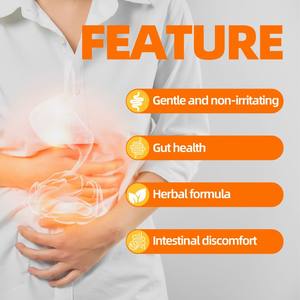 Té Desintoxicante de Hierbas Naturales, Favorece una Digestión Saludable, Alivia el Estómago, Promueve una Digestión Saludable, Té Herbal <span class=keywords><strong>para</strong></span> la <span class=keywords><strong>Diverticulitis</strong></span> - Product Image 3