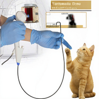 Offre Spéciale Y2810 – Endoscope urétéroscopique flexible et réutilisable pour usage chirurgical vétérinaire (pyéloscopie)