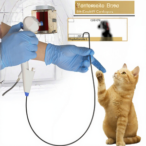 Equipo Médico de Ureteroscopia Flexible Reutilizable Y2810, Endoscopio de Pieloscopia para Uso Quirúrgico Veterinario - Product Image 5
