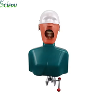 Equipo de Enseñanza, Cabeza de Maniquí Dental, Simulador de Cabeza de Fantasma Dental, Fijación en Escritorio, Modelo de Dientes, Simulador Dental