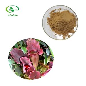 Sarracenia purpureaエキスプロの工場供給高品質で最高の価格 - Product Image 1
