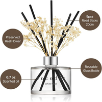 Vente directe usine – Bouteille diffuseur de parfum en verre cylindrique 50ml 100ml 150ml 200ml avec bouchon à vis, écologique et recyclable pour la maison – Lot de 100 pièces