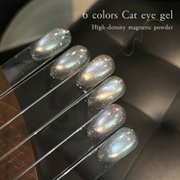 XEIJAYI 6 pièces Vernis à ongles gel UV effet œil de chat coloré en verre transparent, flacon sceptre, sans HEMA ni TPO, norme européenne, vente en gros usine OEM ODM