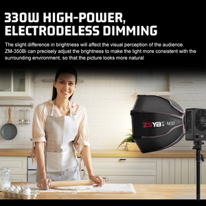 ZSYB professionale 300W palmare LED Fill Light Photography 2700k-6500k Camera Studio ha condotto la luce fotografica - Product Image 4