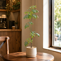 Arbre artificiel Schefflera hyper-réaliste en PE, plante en pot écologique, résistant aux UV, ignifuge, directement de l'usine, pour la maison et le bureau