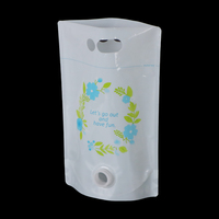Pochette à bec verseur transparente écologique en plastique pour boissons, sac à bec verseur debout, pochette à bec verseur portable, sac à eau
