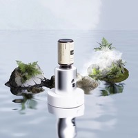 Diffuseur d'huiles essentielles sans eau, machine d'aromathérapie automatique avec minuterie, 51-100 ml, alimentation Type-C, usage domestique