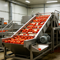Ligne de production automatique de sauce tomate/ketchup et de produits à base de fruits et légumes, équipement de stérilisation et de pasteurisation alimentaire pour usage professionnel