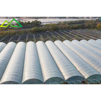 Hotsales grote multi-span PE enkellaags polyfolie kas voor commerciële tomaten- en aardbeienteelt