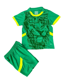 2526 Setelan Jersey Sepak Bola Anak Murah Tim Nasional Senegal Pantai Gading Mali Maillots De Football - Product Image 3