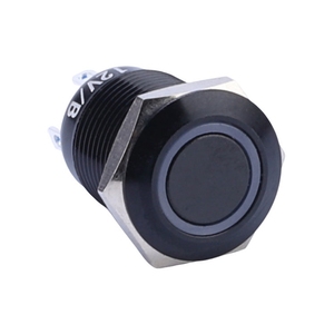 12MM Anti-Vandal Botão Interruptor Oxidação Shell Cabeça Redonda Plana Com Níquel De Bronze 12V Azul Led Volt Botão Interruptor - Product Image 1