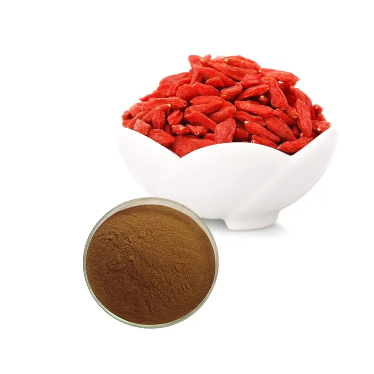 Chinese High Quality Dried fruit plant extract Wolfberry Fruit Extract Black Goji Berry