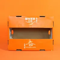Melon Hami Premium, Cantaloup Premium, Boîte Cadeau de Fruits Frais Haut de Gamme, Emballage de Fruits de Luxe en Carton pour Supermarchés