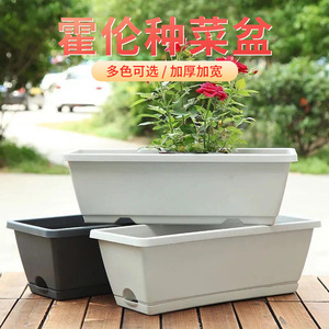 <b>Rectangular</b> Plastic Planting Box Seedling Box With Drainage Hole For Home Vegetable Strawberry <b>Potted</b> <b>Plants</b> Desktop Floor - Product Image 5