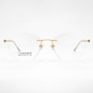 Montura de Gafas Sin Aro Danyang 6019, Ovaladas, Ligeras, de Titanio Puro, Unisex, con Lentes de Plástico para Prescripción - Product Image 1