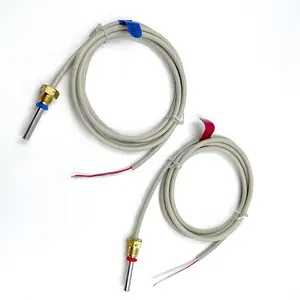 High Precision Rtd Temperature Sensor Pt1000 heat meter sealed by grooved tube