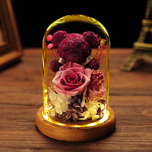 Rose éternelle <span class=keywords><strong>fleurs</strong></span> préservées <span class=keywords><strong>mousse</strong></span> ours fête des mères éternelle fleur préservée pour toujours Roses dans un dôme de verre - Product Image 4