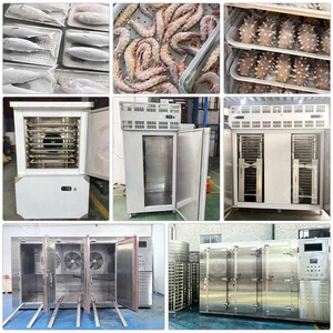 Congelador Industrial Vertical Mini de 6 Toneladas para Pescado Pequeño, Congelador Rápido DC con Bandejas, Equipo para Alimentos en Venta - Product Image 4