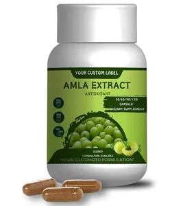 인도 제조업체의 저렴한 가격으로 개인 라벨 OEM 서비스 Amla 추출 캡슐