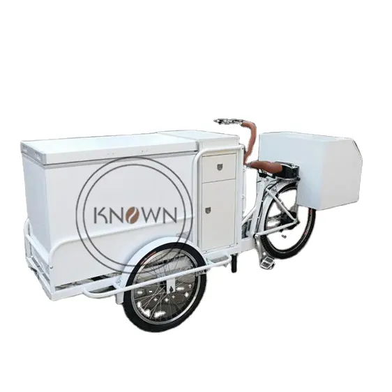 OEM Electric Ice Cream Tricycle with Battery Mobile Electric Cargo 3 Wheels Bike Trike for Sale