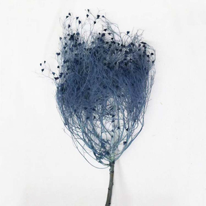 2023 Soft Dream Yunnan gros plante de fleurs séchées stabilisé préservé éternel suspendu préservé herbe de rêve préservée pour la décoration de mariage - Product Image 4