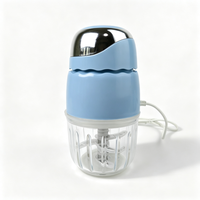Petit robot culinaire électrique pour bébé, bol transparent de qualité alimentaire, hachoir de cuisine pour purée de bébé, ail, fruits et viande