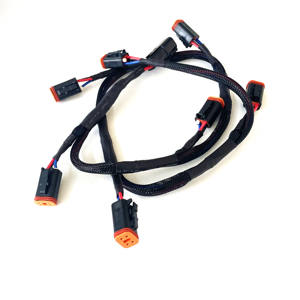 تصنيع المعدات الأصلية ODM <span class=keywords><strong>2</strong></span> دبوس 18AWG DT موصل حامل الصمامات السيارات المخصصة - Product Image 5