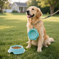 Bol d'alimentation en eau et en nourriture pour chien en silicone pliable personnalisé et écologique pour l'extérieur