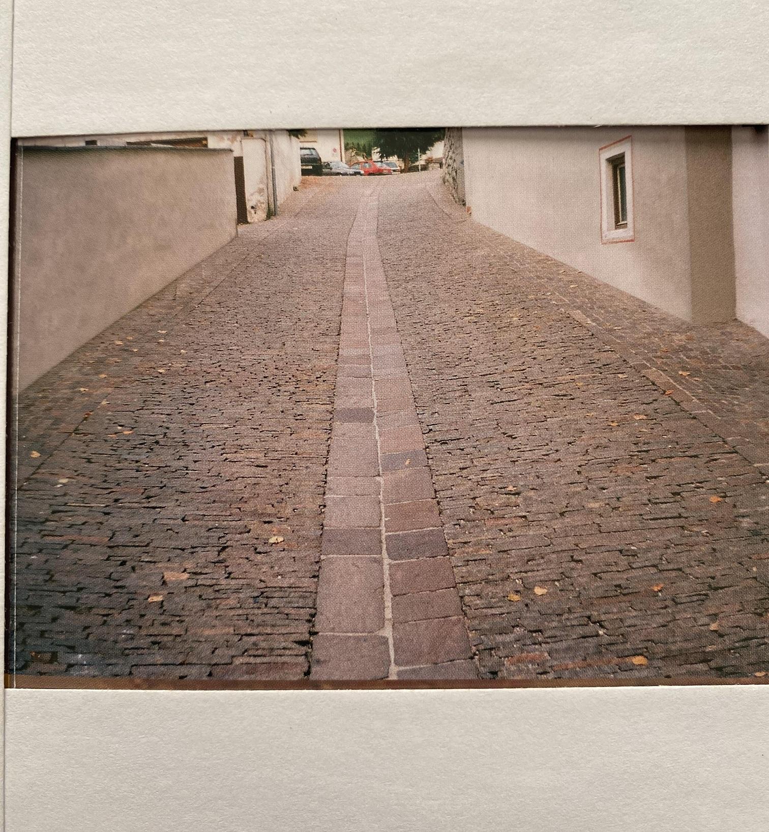 สีเทาสีม่วงสีน้ำตาล