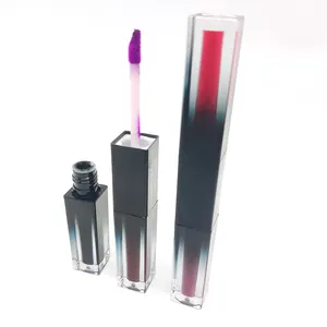 Wholesale private label makeup 12 colour 2 in 1 waterproof Lip Gloss